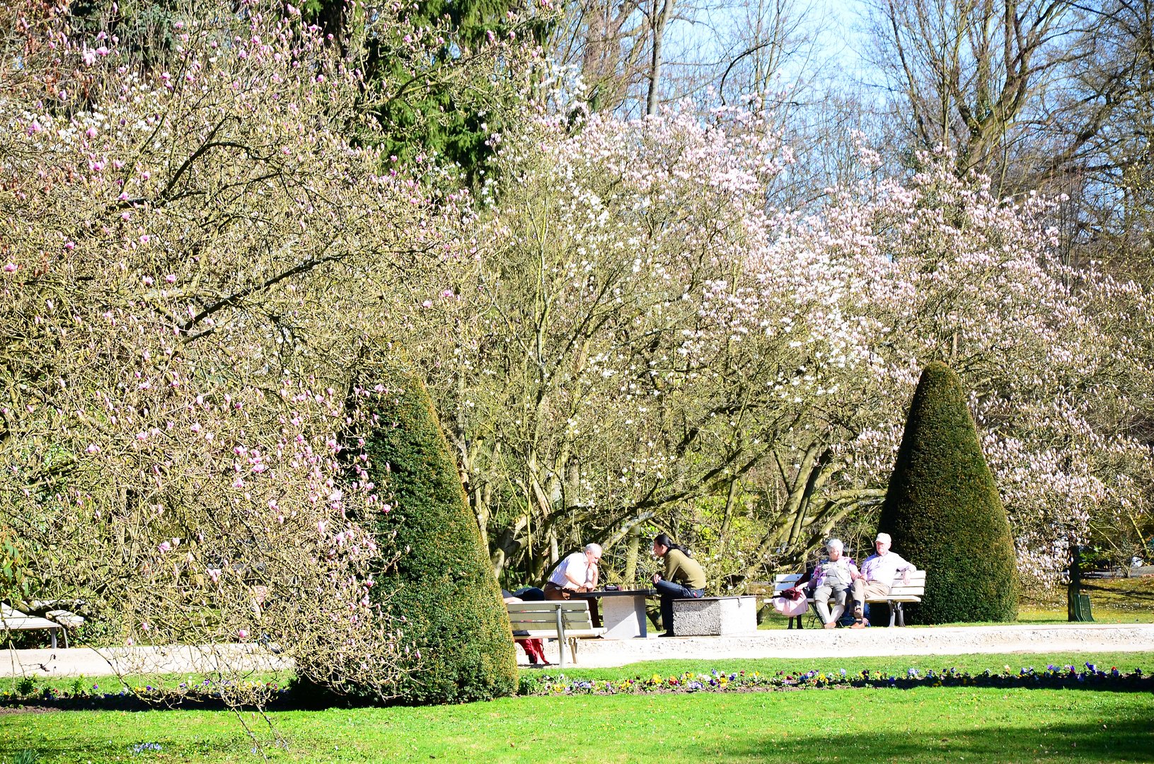 Schachspiel im Kurpark, Bad Homburg