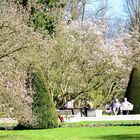 Schachspiel im Kurpark, Bad Homburg