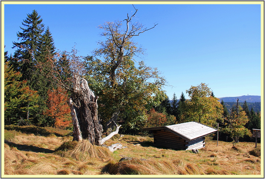 Schachtenherbst