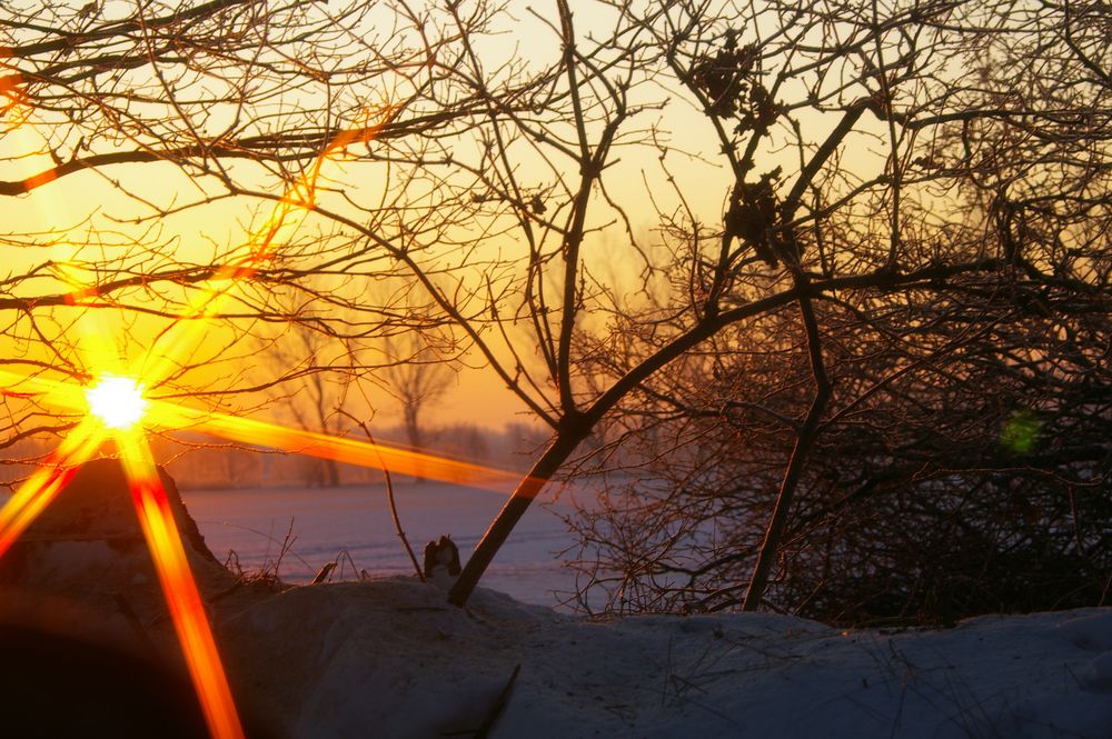 Schade das der Winter geht....es taut