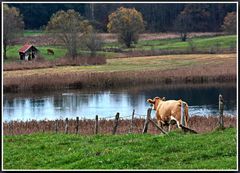 Schade, dass das Wasser so kalt ist