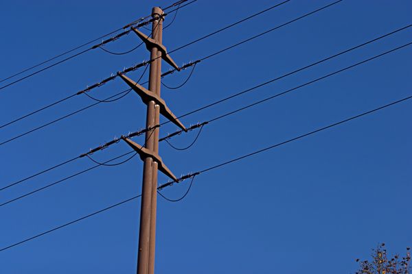 Schade dass kein Vogel da war