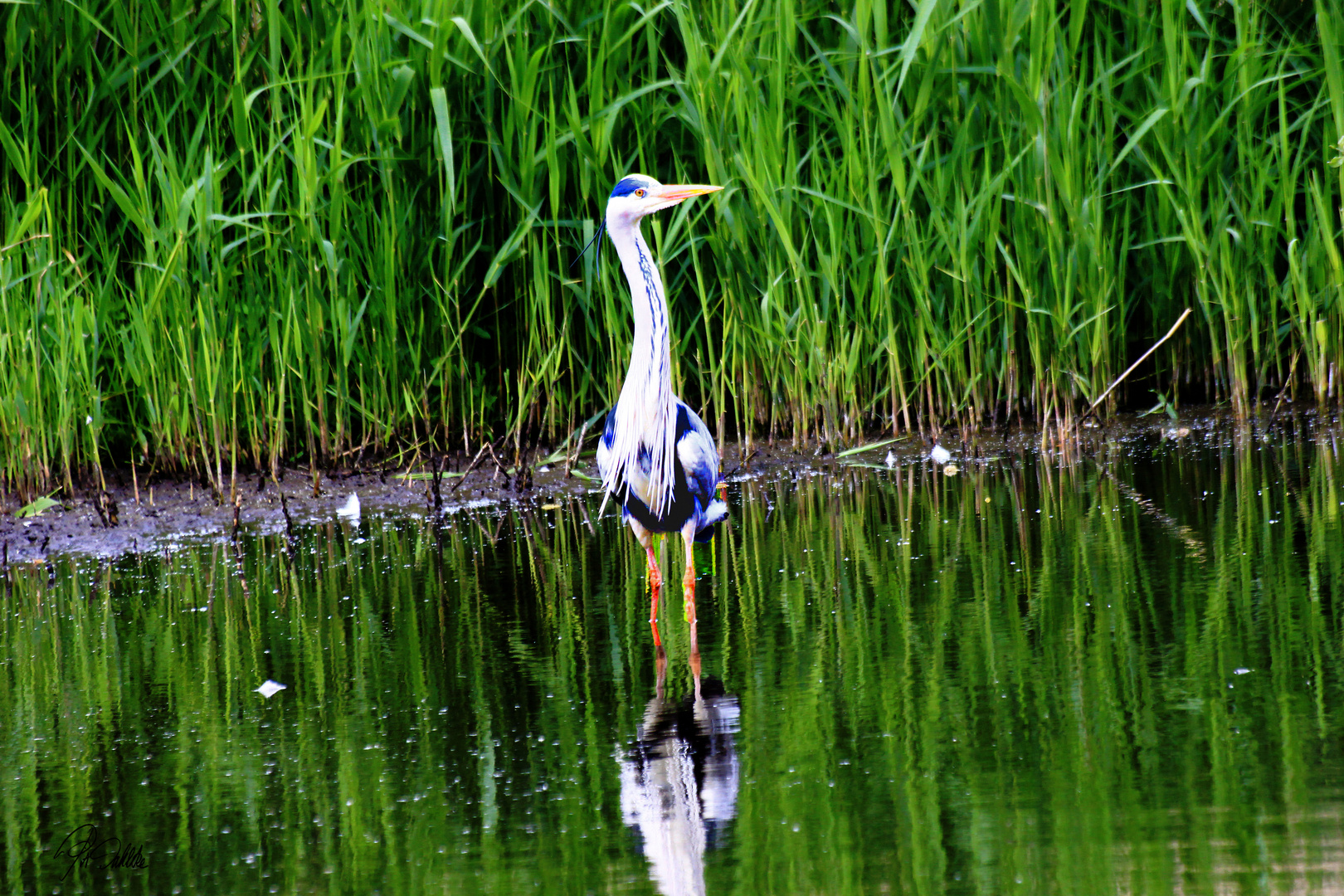 .."Schade, dass mein Spiegelbild ..Dienstag ist Spiegeltag 18.05.2021