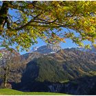 Schächentaler Herbststimmung I