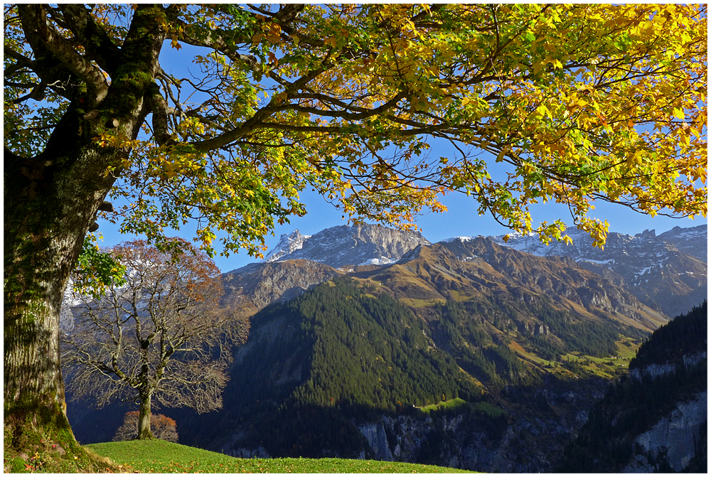 Schächentaler Herbststimmung I