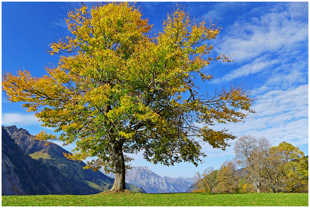 Schächentaler Herbststimmung III