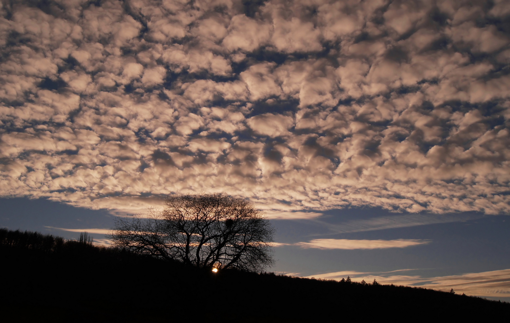 Schäfchen am Himmel