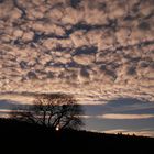 Schäfchen am Himmel