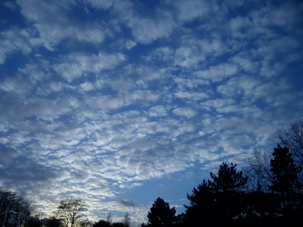 Schäfchen am Himmel