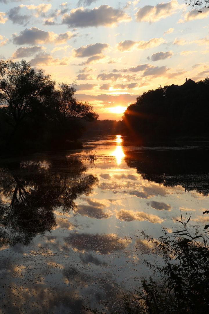 Schäfchen über der Donau