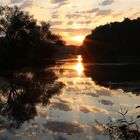 Schäfchen über der Donau