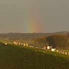 Schäfchen unterm Regenbogen