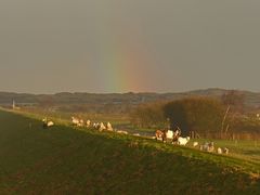 Schäfchen unterm Regenbogen