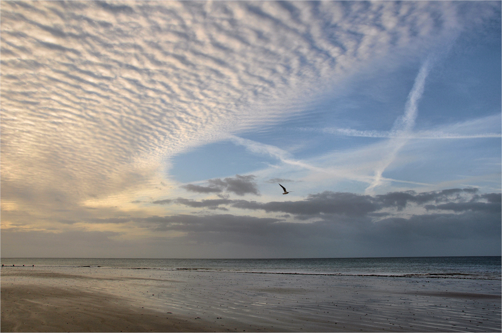 Schäfchen - WOLKEN