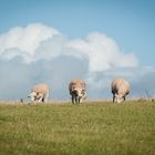 "Schäfchen-Wolken" nahe dem Bolt Tail bei Hope, Devon, UK