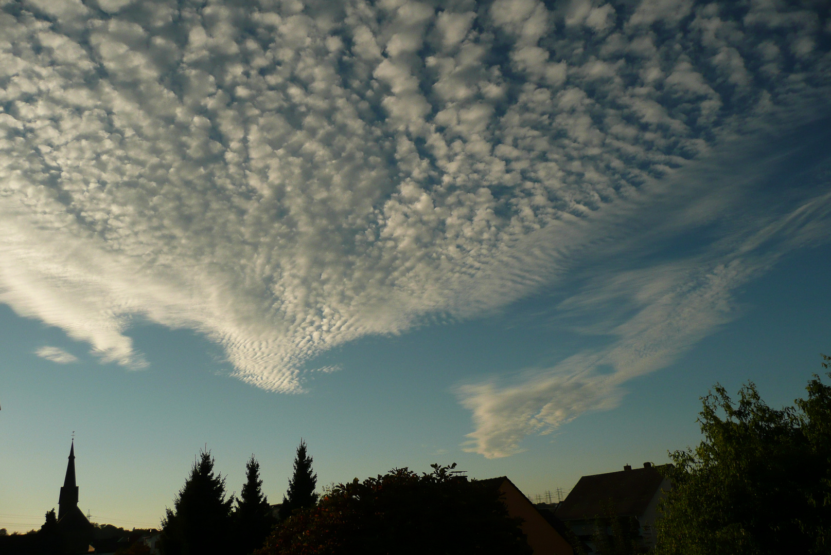 Schäfchen-Wolken-Teppich