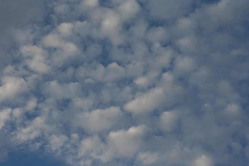 Schäfchenwolken