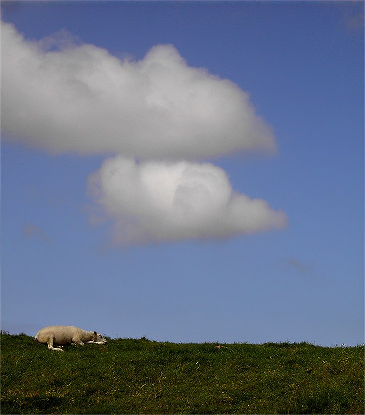 schäfchen(&)wolken