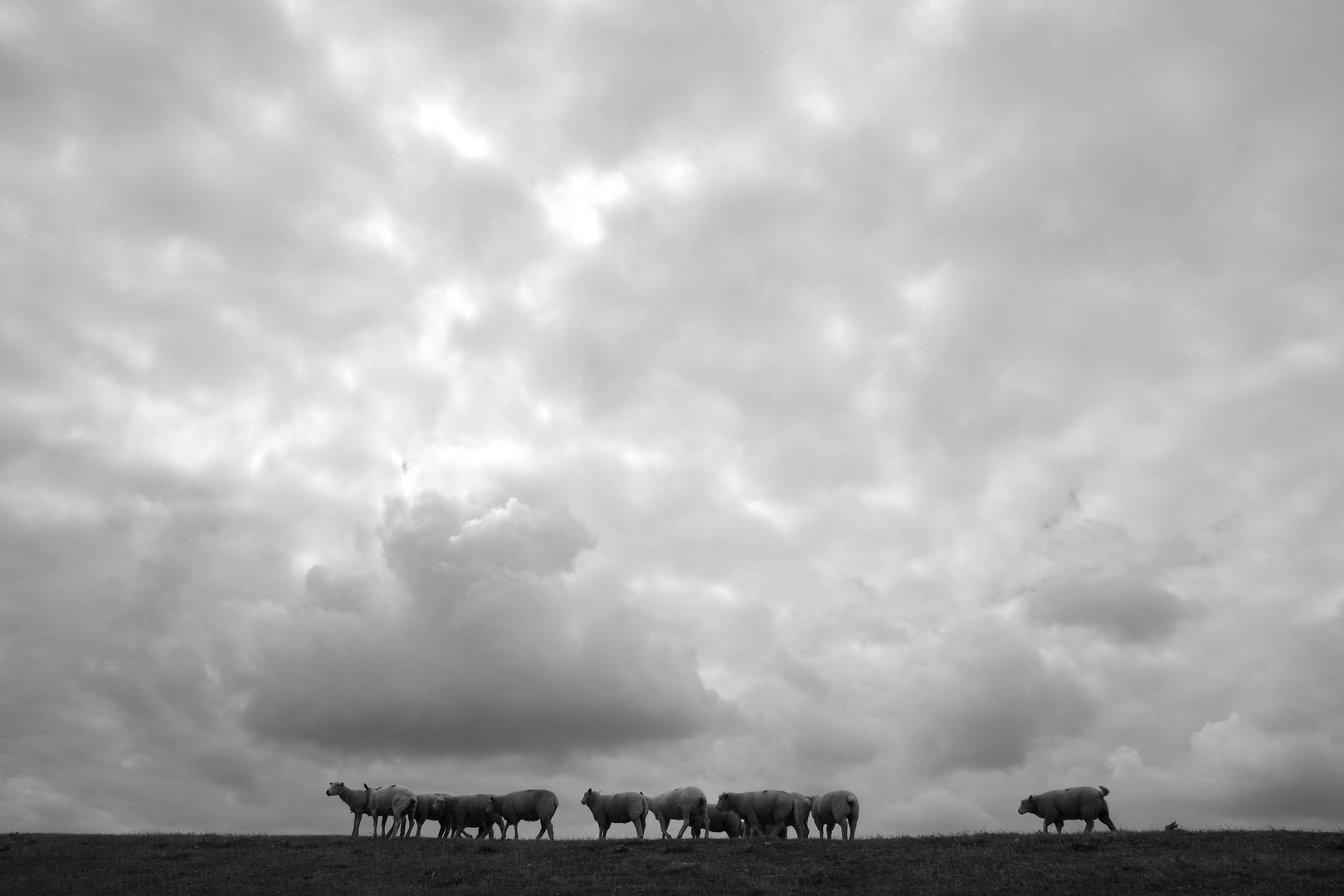 Schäfchenwolken