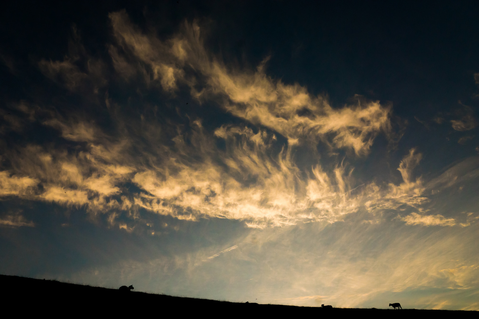 Schäfchenwolken