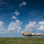 Schäfchen(wolken)