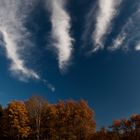 Schäfchenwolken?