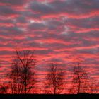 Schäfchenwolken am Abendhimmel über Münster