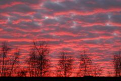 Schäfchenwolken am Abendhimmel über Münster