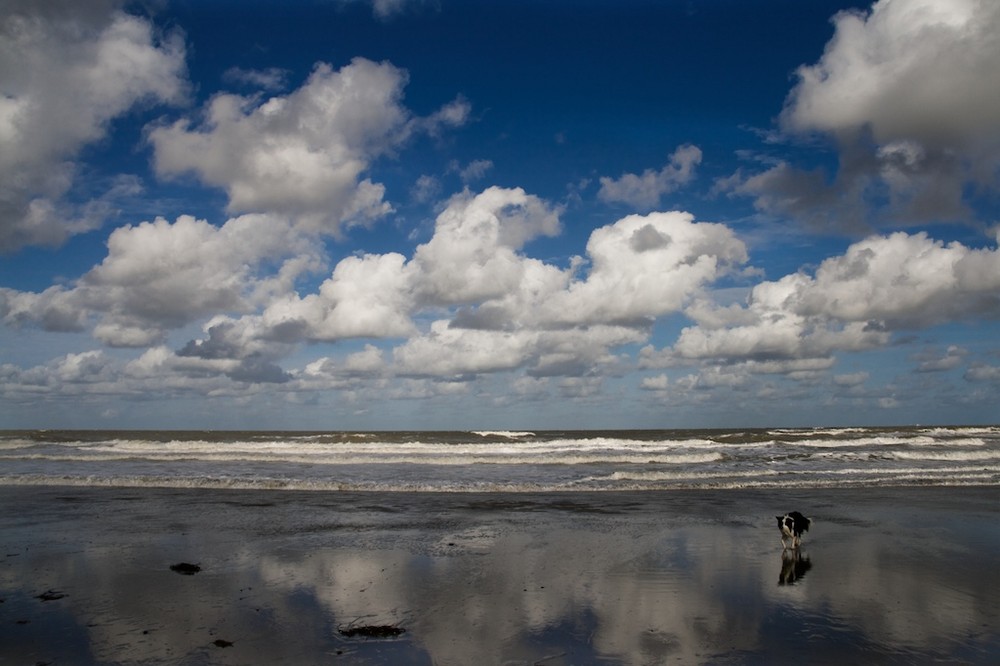 Schäfchenwolken