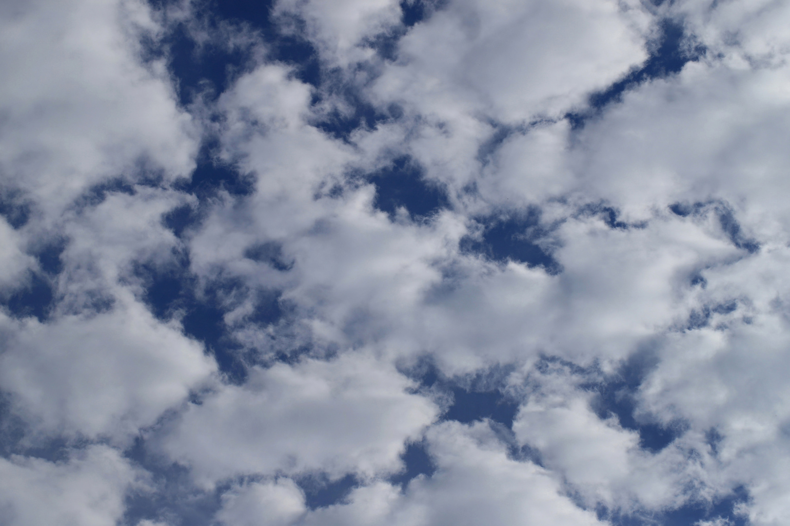 Schäfchenwolken, Cirrocumulus floccus