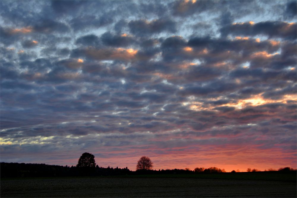 Schäfchenwolken.....