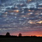 Schäfchenwolken.....