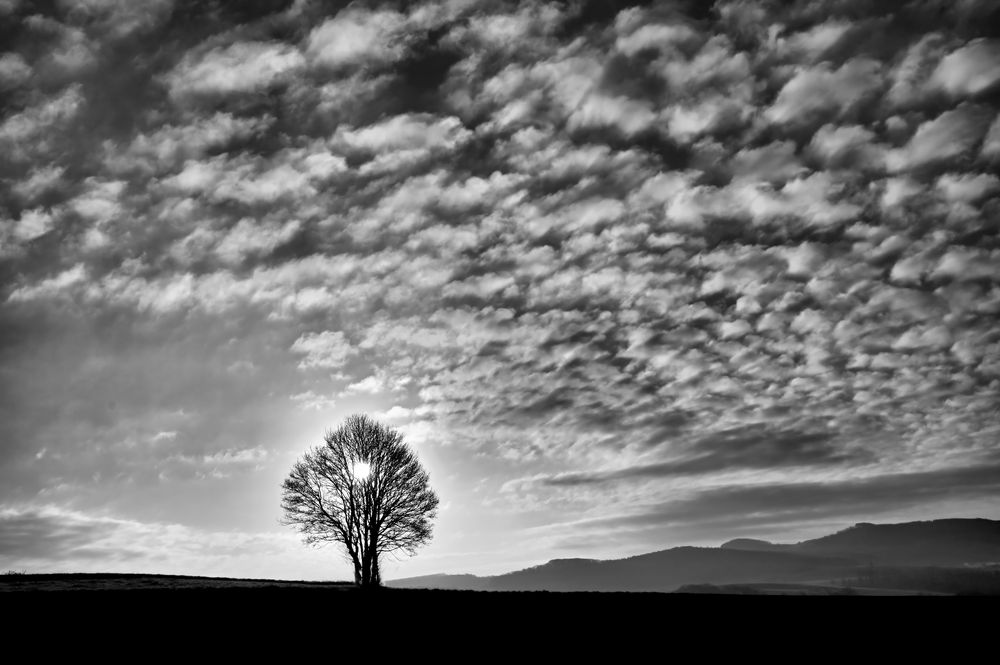 Schäfchenwolken....