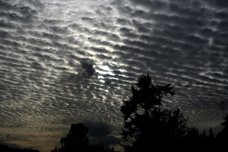 schäfchenwolken