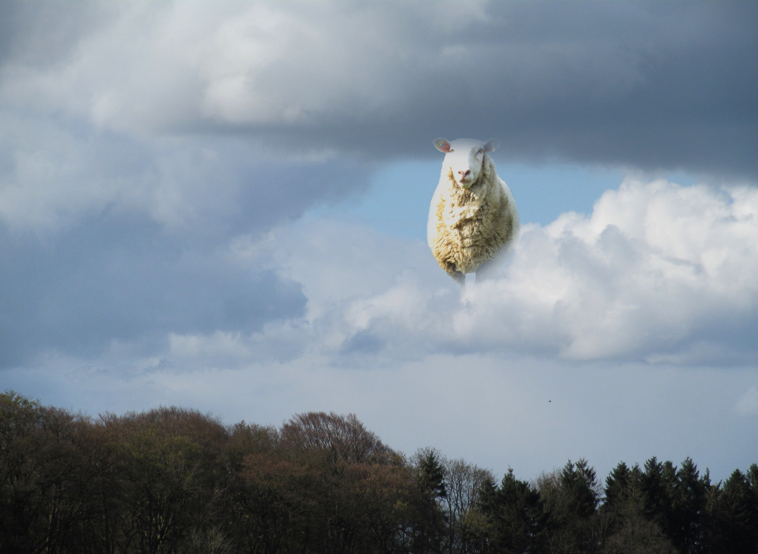 Schäfchenwolken 