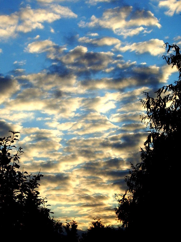 Schäfchenwolken gehen langsam unter..