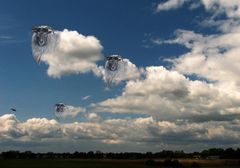 Schäfchenwolken im Herbstwind