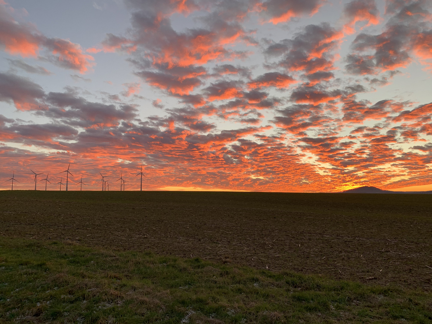 Schäfchenwolken in der Abenddämmerung