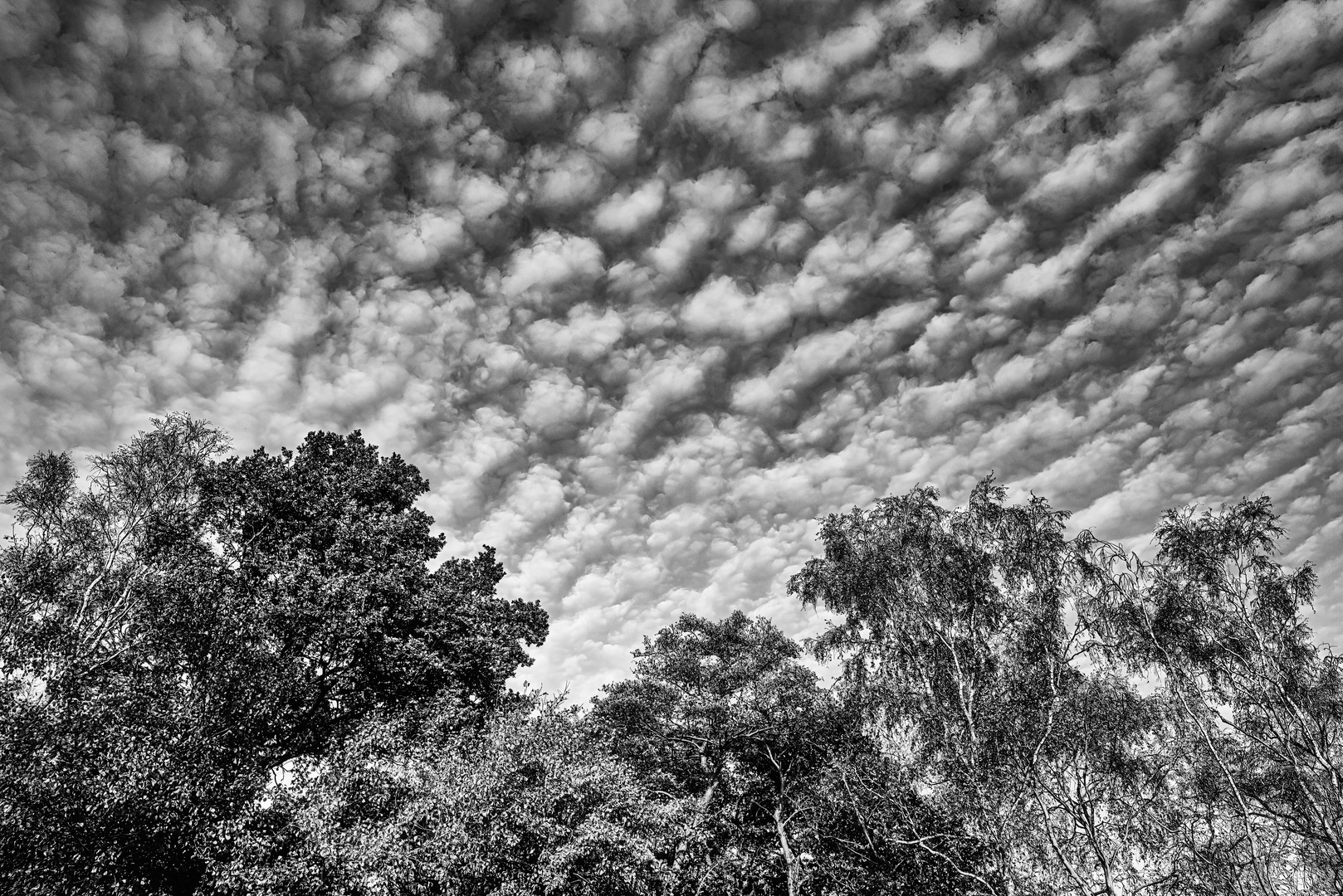 Schäfchenwolken SW