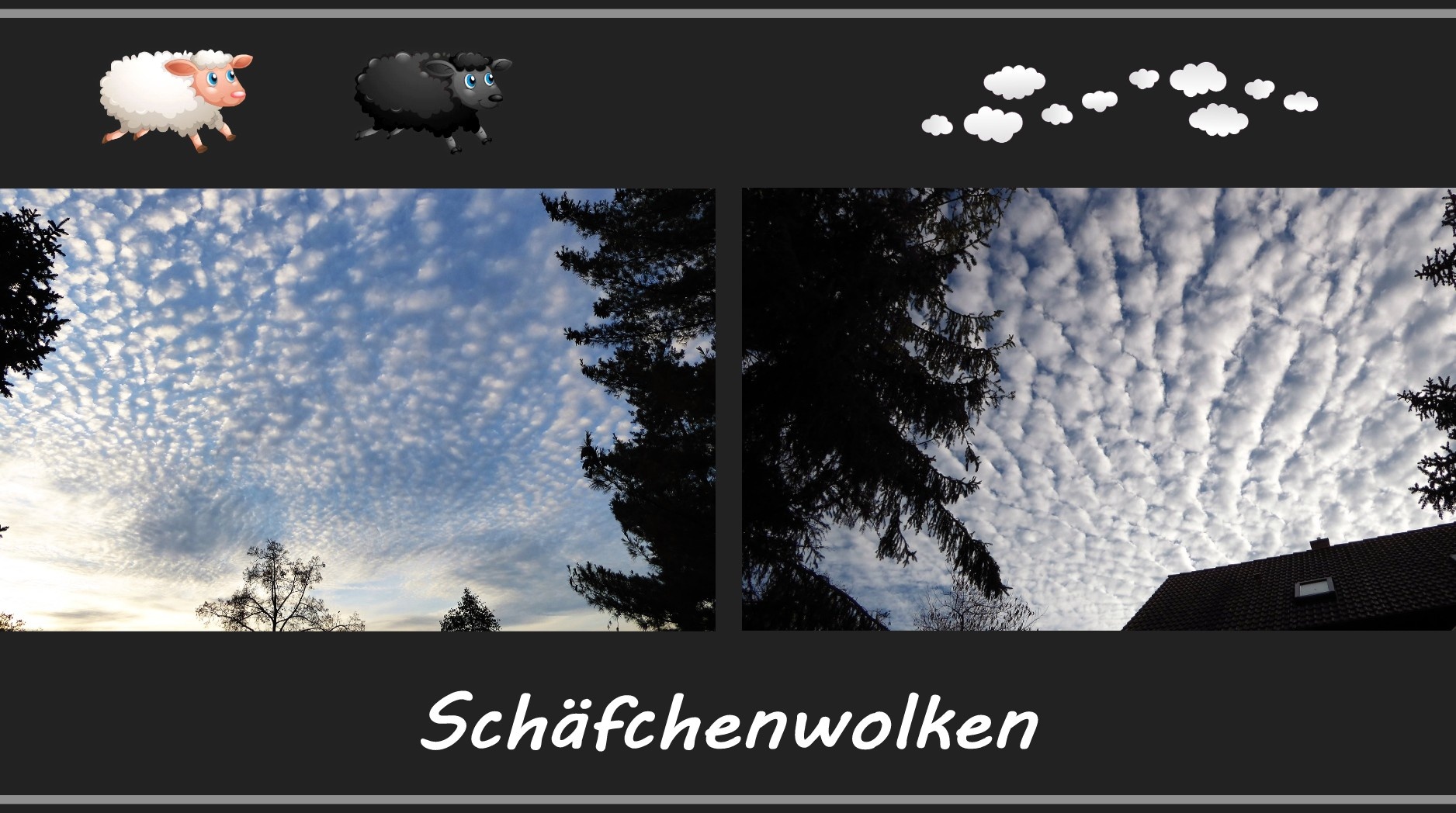 Schäfchenwolken - zum zählen - für alle die nicht einschlafen können. 