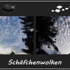 Schäfchenwolken - zum zählen - für alle die nicht einschlafen können. 