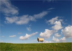 schäfchenwolkend ;-)