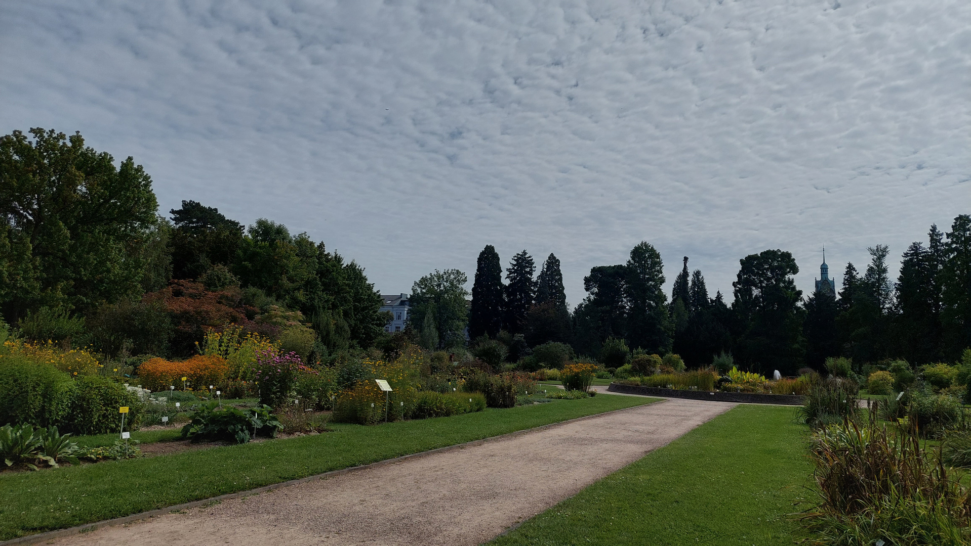 SchäfchenWolkenStau