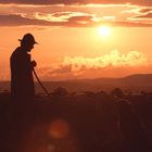 Schäfer mit Hund und Herde bei Sonnenuntergang