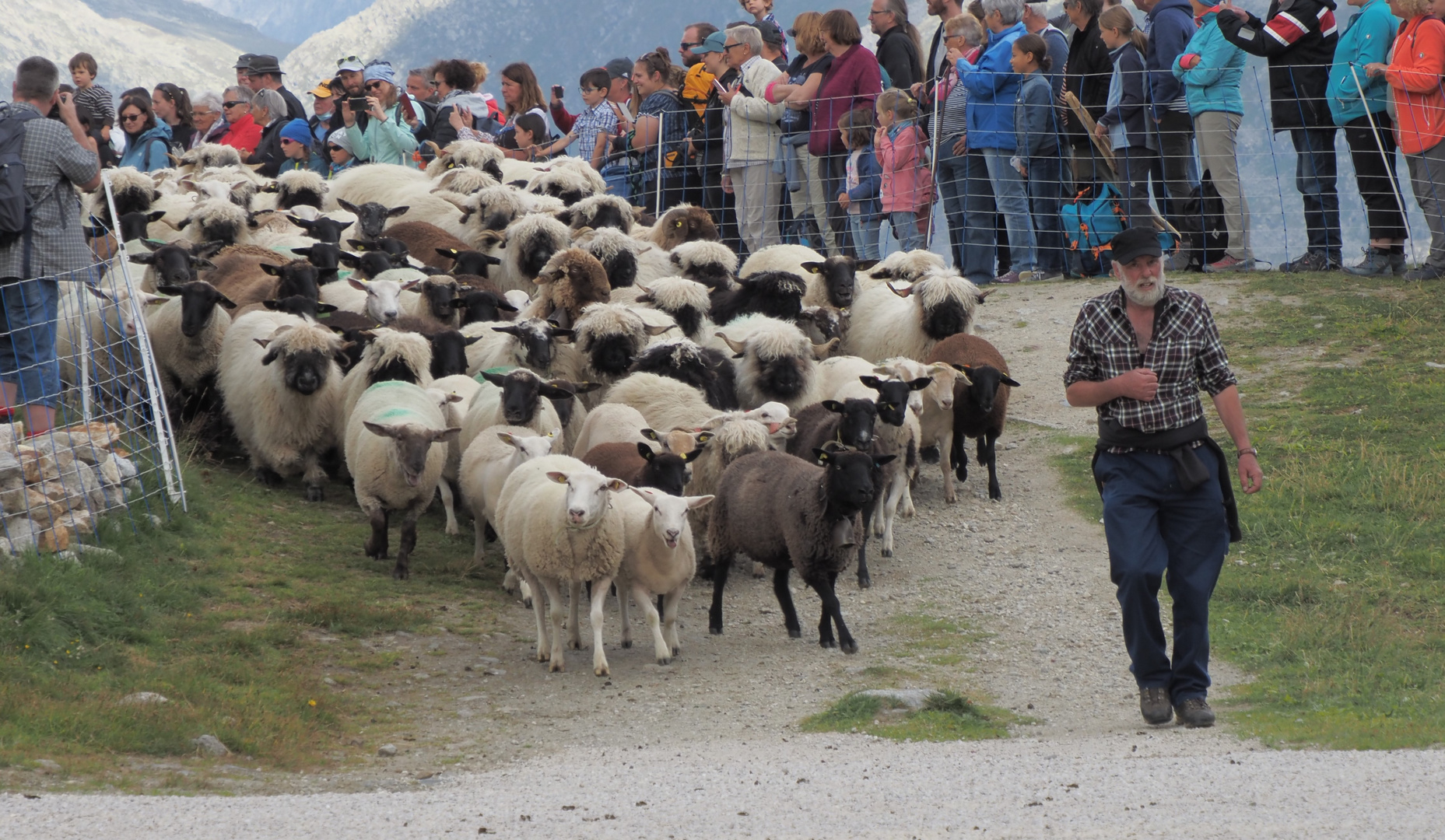  Schäferfest