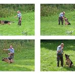 Schäferhund Max beim täglichen Training