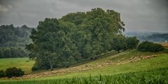 Schäferidylle