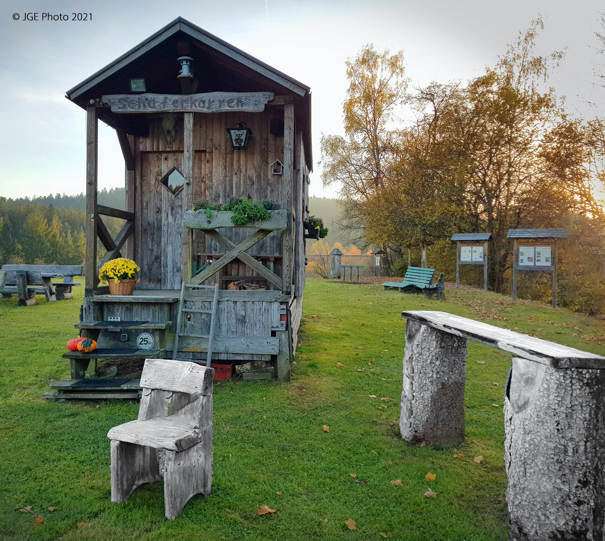 Schäferkarren an der Schafweide Hotel Grüner Wald