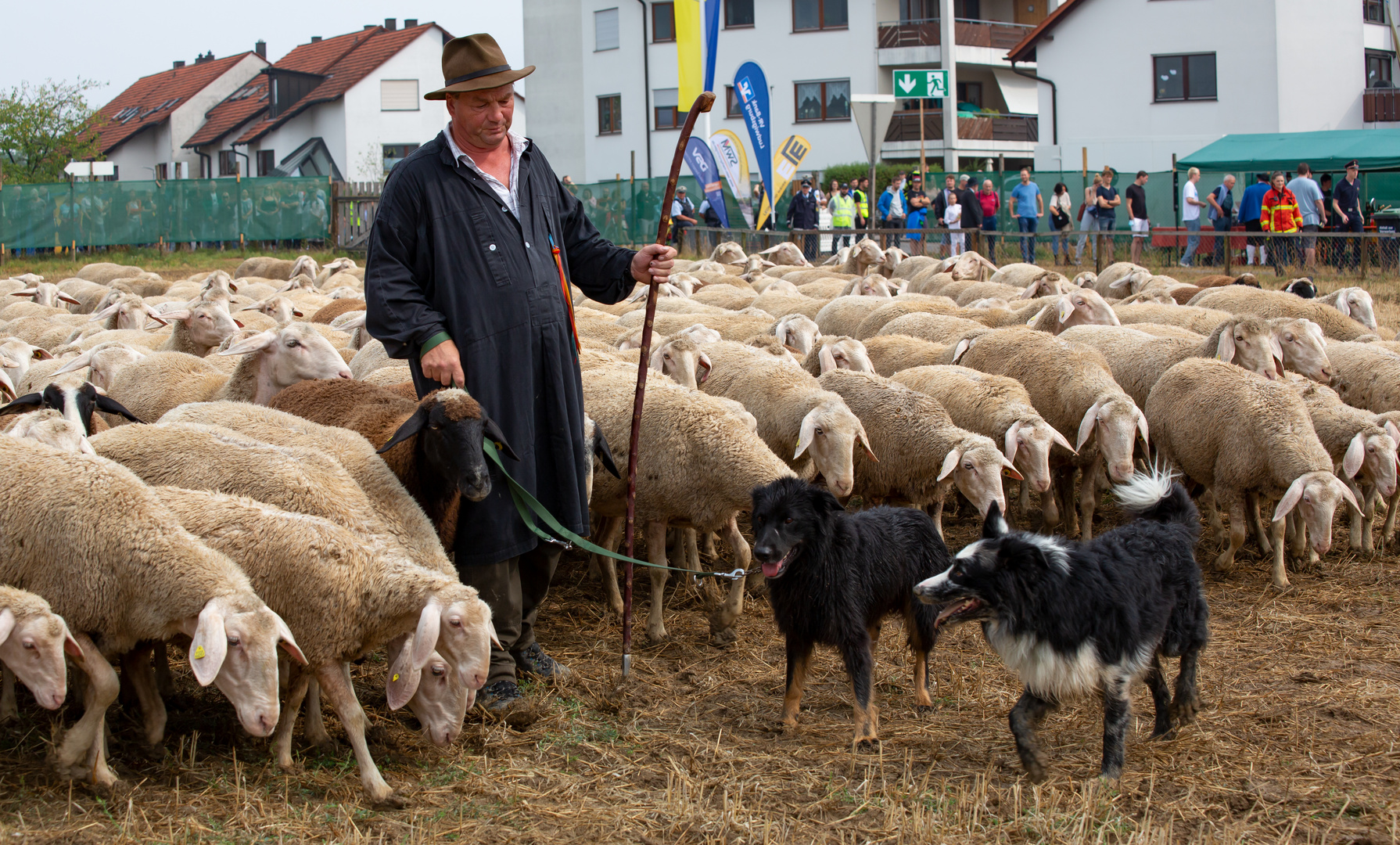 Schäferprämierung