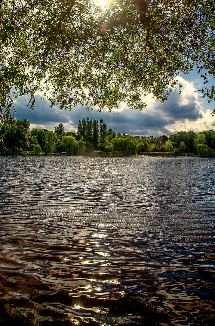 Schäfersee Berlin Reinickendorf